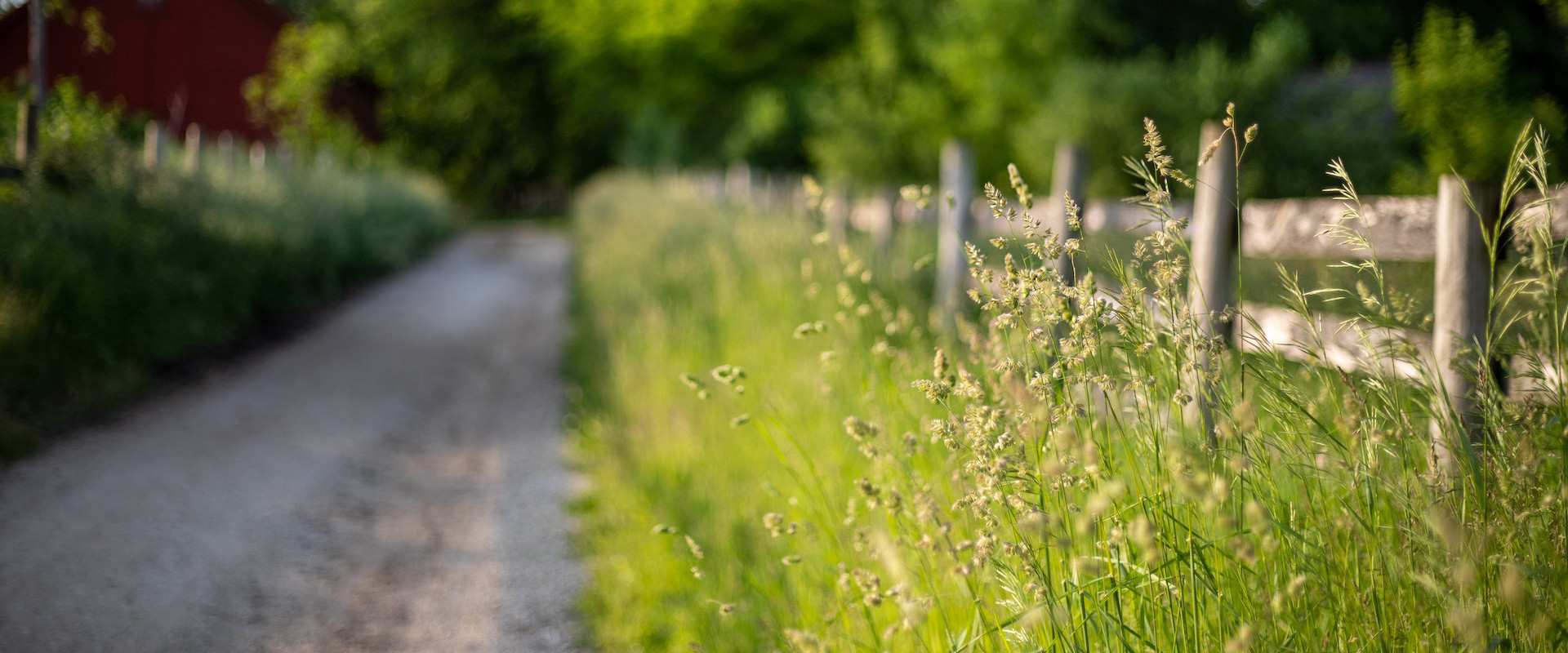 A country road